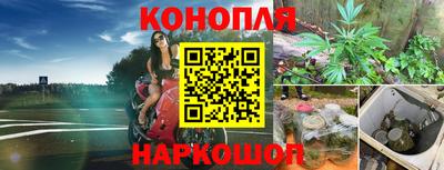 Альфа ПВП Лесосибирск